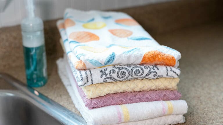 21 Best Kitchen Towels for Drying Dishes Fast