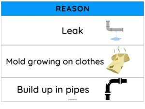 The Washing Machine Hack That Completely Got Rid of That Musty Smell