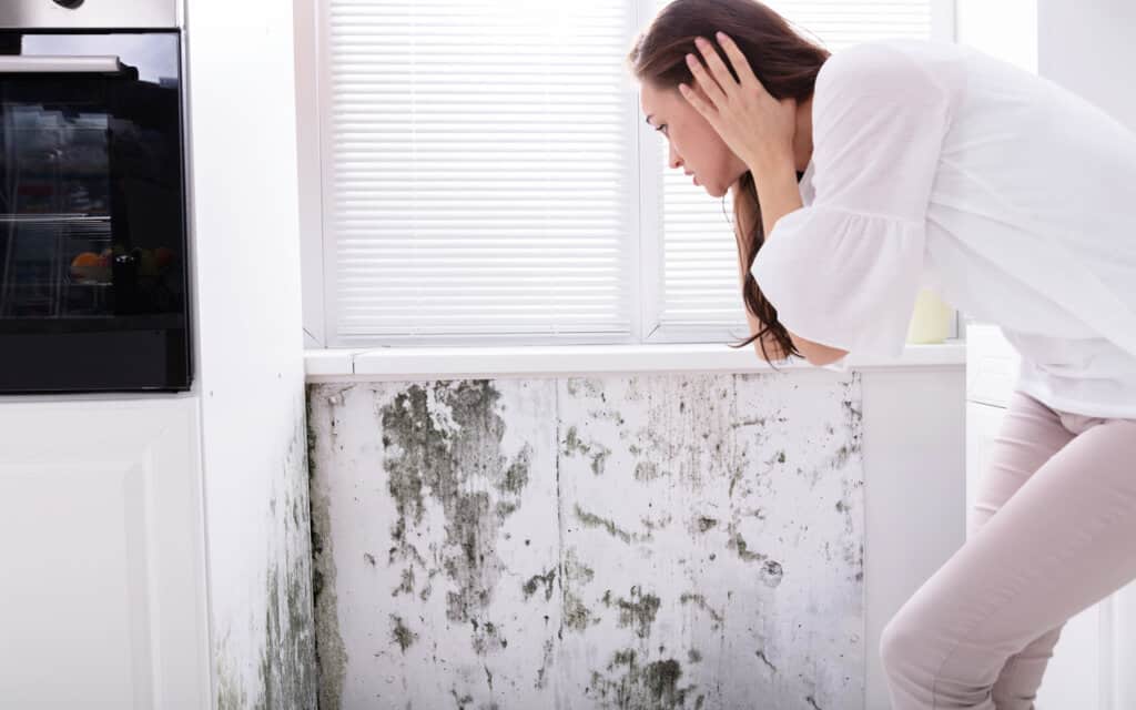 How to Clean Walls Without Removing Paint (28 Tips)