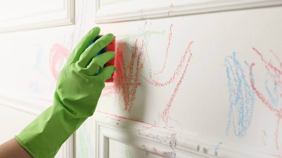 Cleaning Archives Sponge Hacks