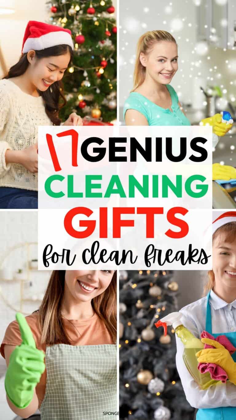17 Cleaning Gifts For Those Who Love Cleaning - Sponge Hacks