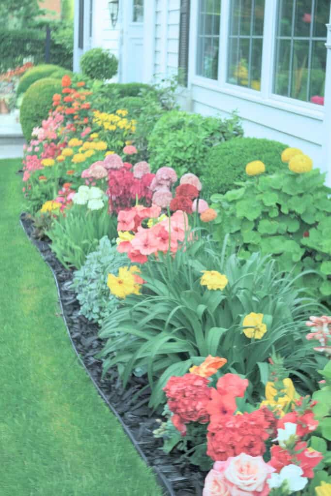 Effortless Front Yard Garden Designs That Elevate Your Curb Appeal