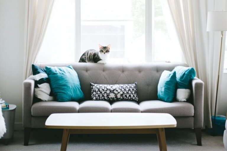 24 Small Cozy Living Room Ideas