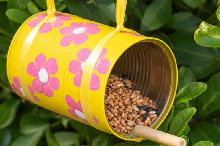 25 DIY Bird Feeders for Your Backyard
