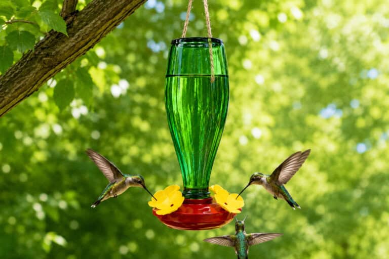 How To Make an Easy DIY Hummingbird Feeder For Your Flower Garden